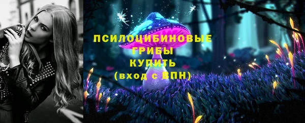 гидропоника Балабаново