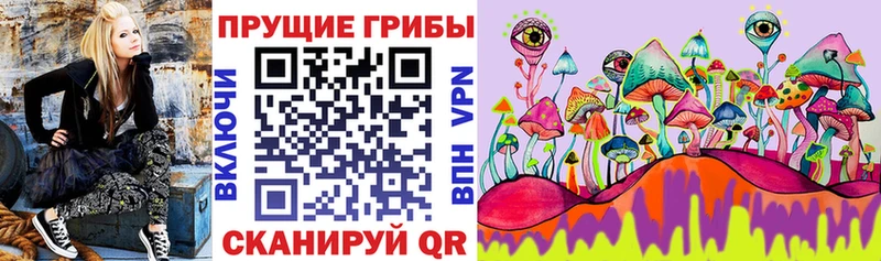 blacksprut ССЫЛКА  Шацк  Псилоцибиновые грибы мицелий 